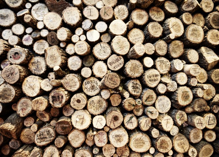 Fotografía Antigua Cigarrería